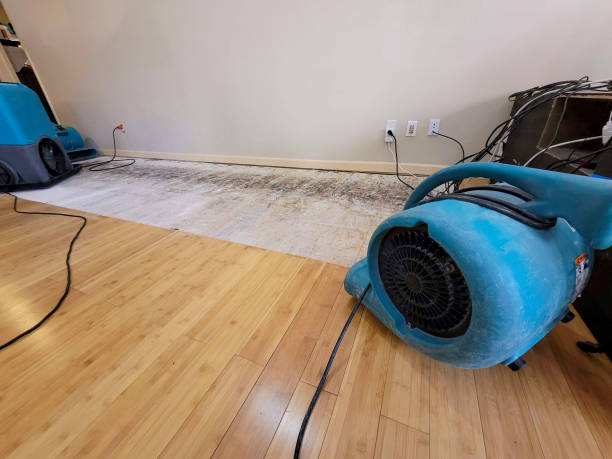 Professional Flood Damage Cleanup technician working in Paris, KY